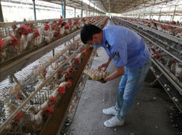 省疫控中心开展2020年第一季度畜产品抽样工作