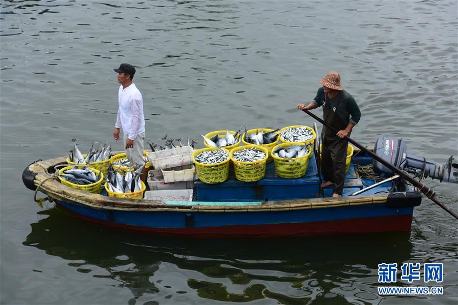 #（社会）（5）海南琼海：出海归来鱼满舱