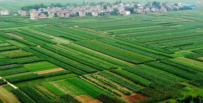 “中国特色农产品优势区” 开始申报