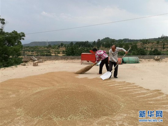 （新华全媒头条·图文互动）（8）特殊之年夏粮丰收背后的特殊之举