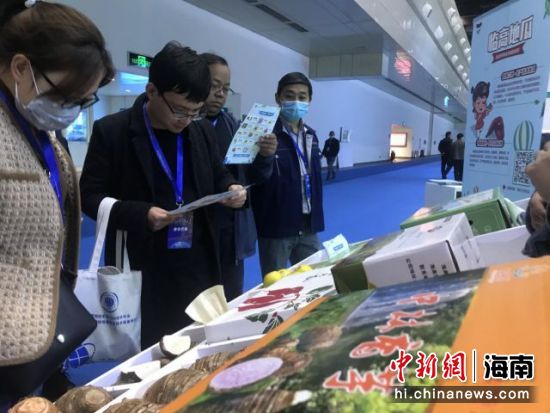 　经销商关注临高特色农产品。主办方供图