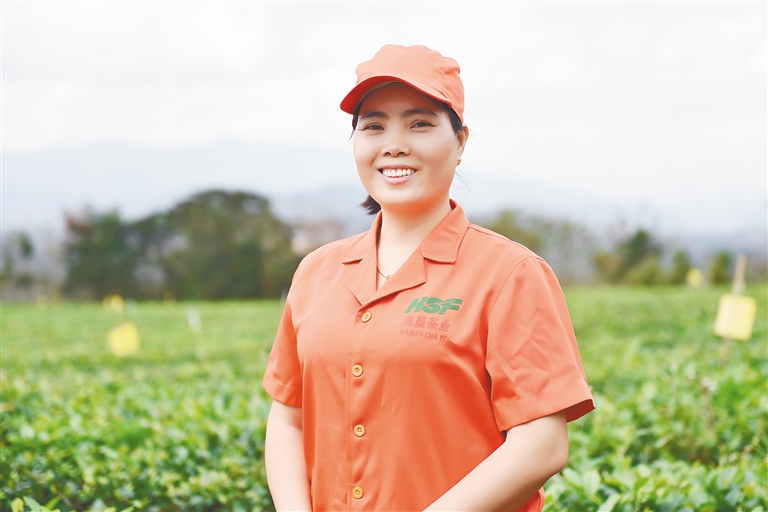海垦茶业技术员符小琴荣获“2020年全国劳动模范”称号