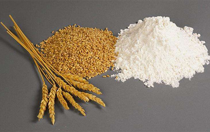 农业行业标准《普通小麦品种纯度鉴定 SSR分子标记法》通过农业农村部批准