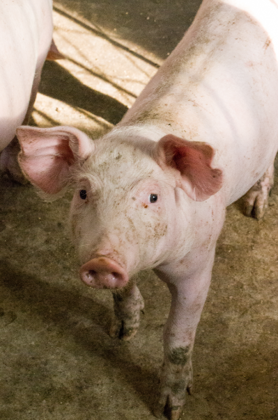 1607910514641132.png image.png