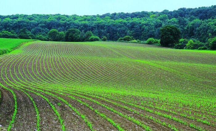 全国农技中心组织召开《肥料分类与编码》农业行业标准活动