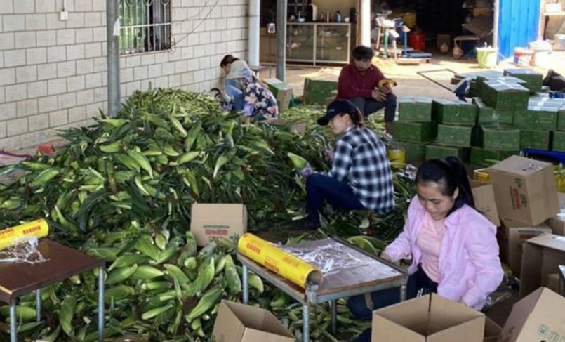 1615252138389810.png image.png