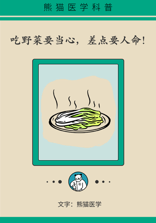 错食野菜被送进医院！这些野菜“安全”原则要遵守