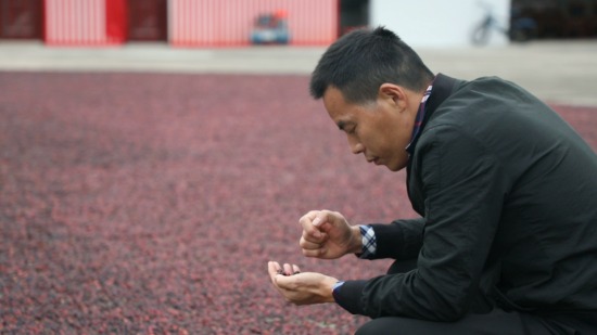 白沙县第二届优秀农村实用人才：成宗培