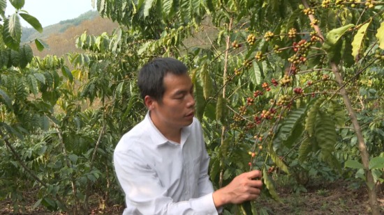 白沙县第二届优秀农村实用人才：成宗培