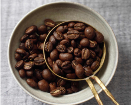 芬兰科学家利用“农业细胞”培育咖啡豆