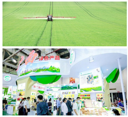 以绿色有机地标农产品为代表 我国优质农产品品牌格局基本形成