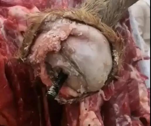 微信图片_20211213152959.jpg undefined