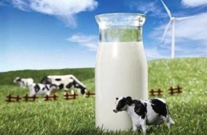 国际奶价上涨 国内供需失衡 2022年我国原奶价格走势难确定
