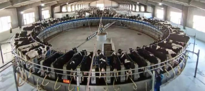 20220125094055898.png undefined