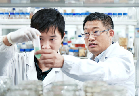 20220530170727744.png undefined