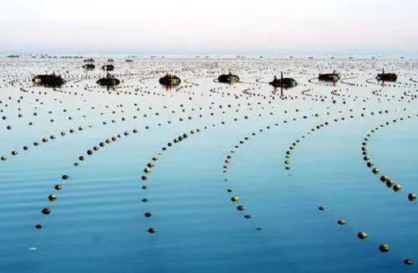 20220707195334410.png undefined