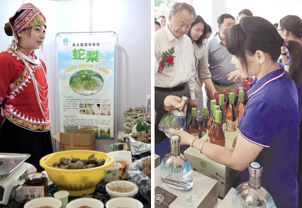 生态资源大省绽放高原特色食品魅力 2022中国食文化交流博览会昆明举办