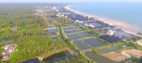 探索生态养殖的“绿色之变”  ——海南文昌创新推动海水养殖综合整治