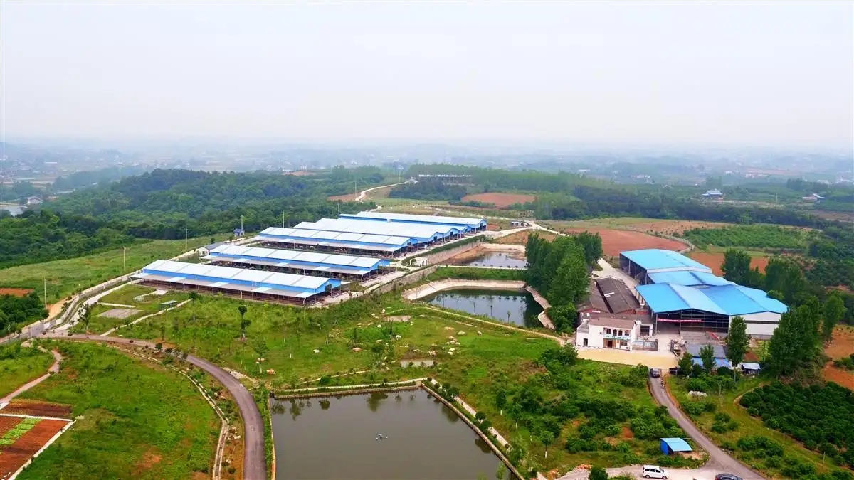 寿仙谷有机国药生态农场获评“国家级生态农场”