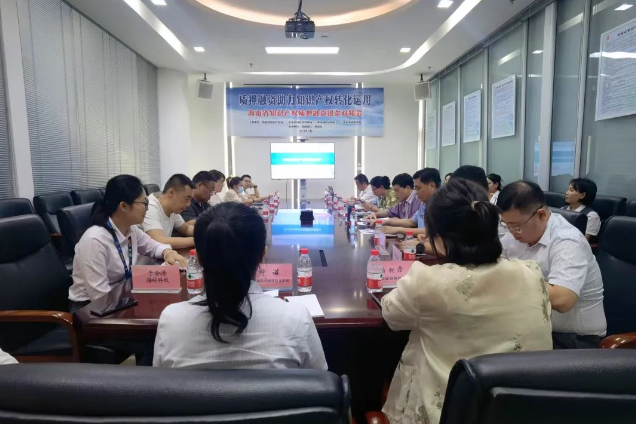海南省知识产权质押融资银企对接会在三亚举办
