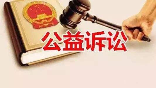 互联网民事公益诉讼适用惩罚性赔偿制度