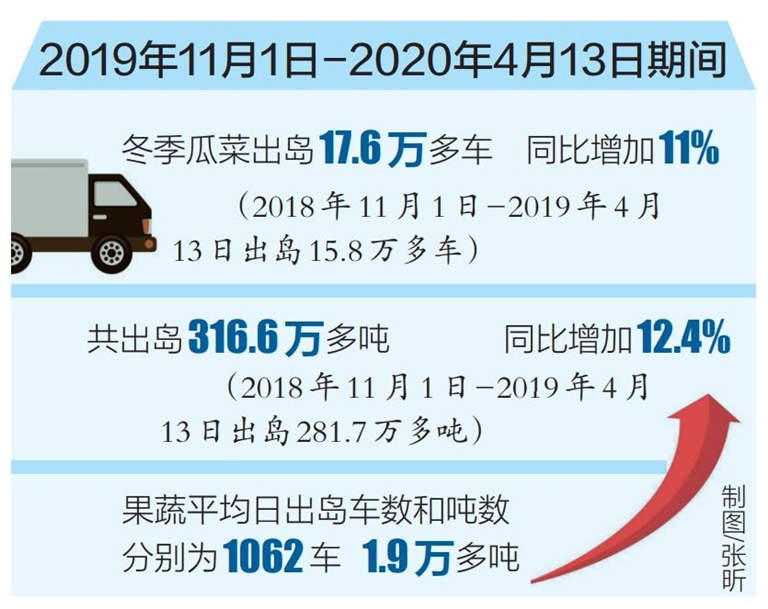 海南省冬季瓜菜种植面积逾300万亩