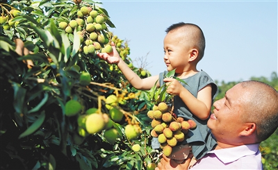 游美丽乡村 品特色美食