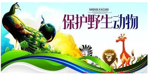 国家林业和草原局、农业农村部就《国家重点保护野生动物名录》公开征求意见