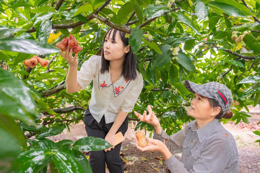 黄妹：大学生党员村官“微商”助农致富