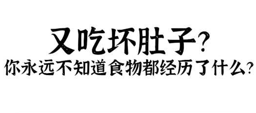 又吃坏肚子了！你不知道食物都经历了什么？