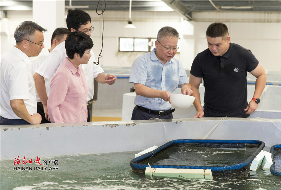 沈晓明调研近海养殖清退整改和水产养殖发展