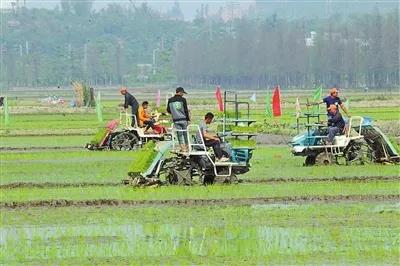 农业农村部：农业机械化势头强劲 保障全年粮食丰收