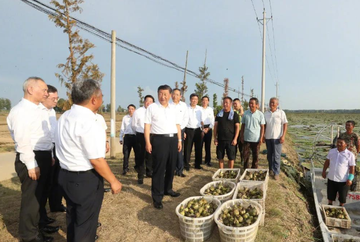 习近平赴安徽考察调研