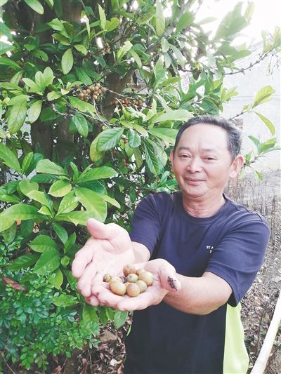 “歌必欧”里忆流年