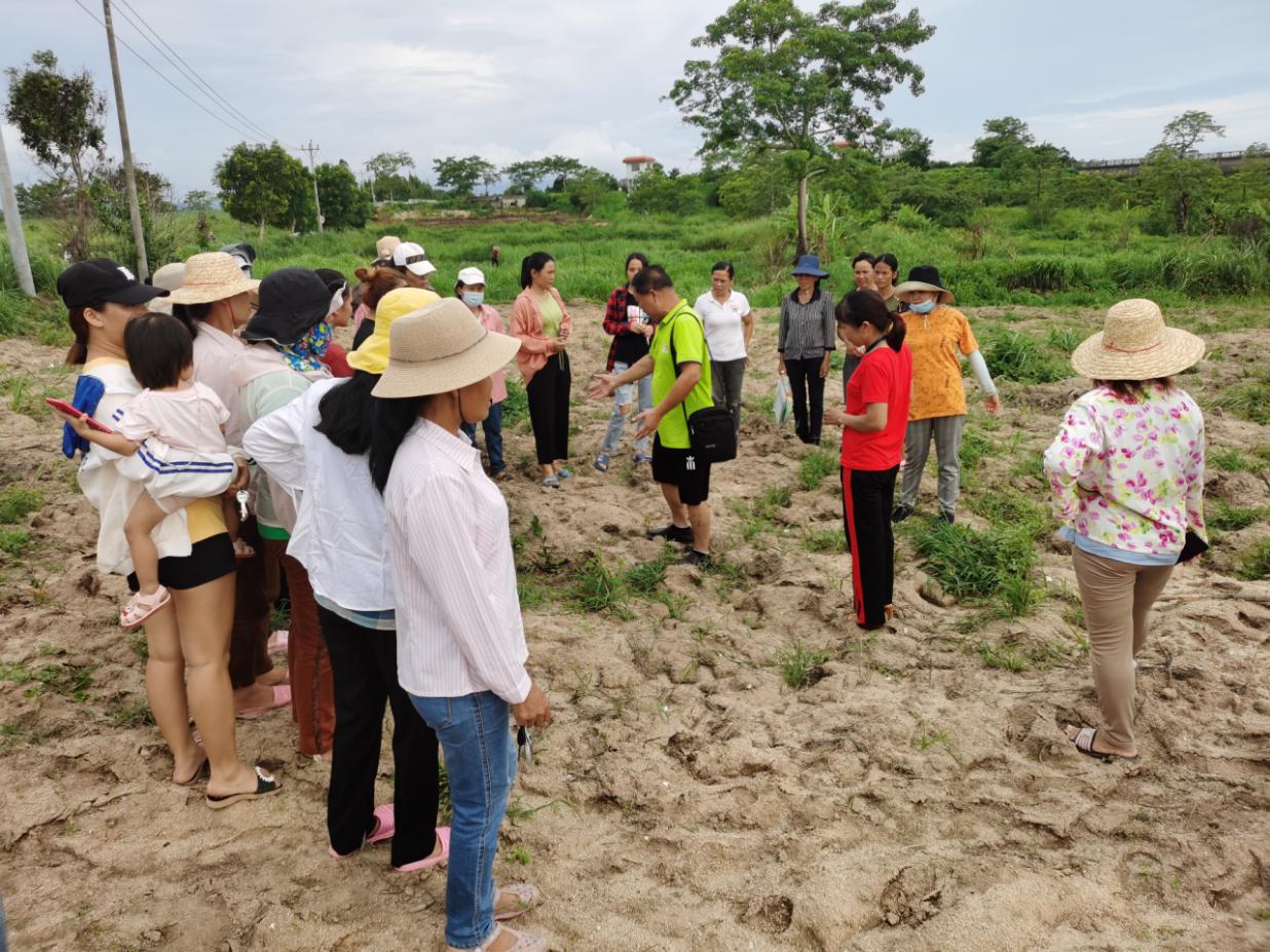 女性高素质农民山柚种植培训班圆满结业