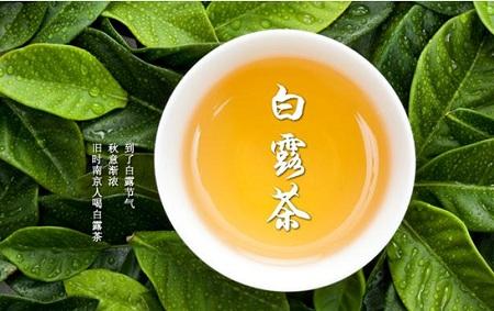 白露节气到！为何要饮“白露茶”、吃龙眼？