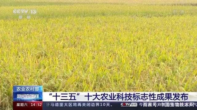 “十三五”十大农业科技标志性成果发布