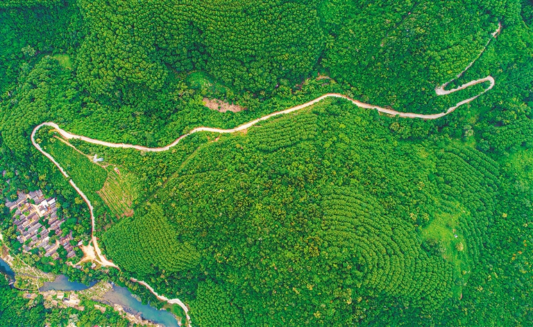 农村路的&ldquo;美丽蝶变&rdquo;