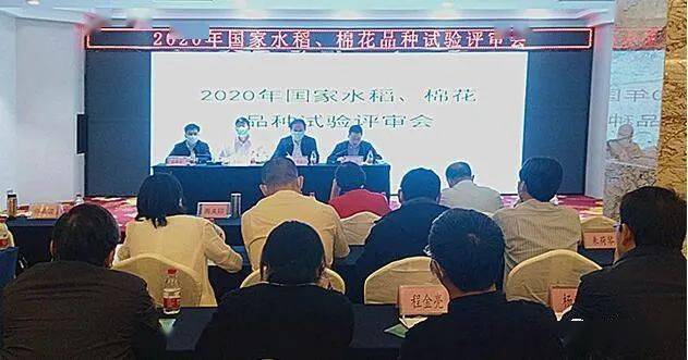 2020年国家水稻、棉花品种试验评审会在陵水召开