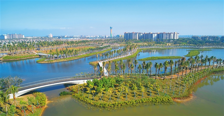 清水&ldquo;芙蓉&rdquo;扮靓江东