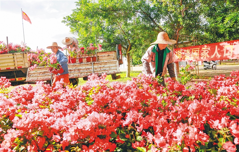 昌江：全面建设新时代&ldquo;山海黎乡大花园&rdquo;