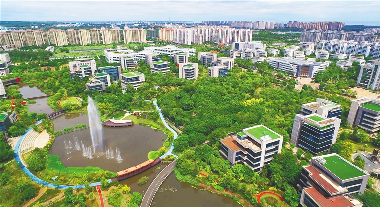 澄江迈岭千般景 昂首奋蹄沐春行