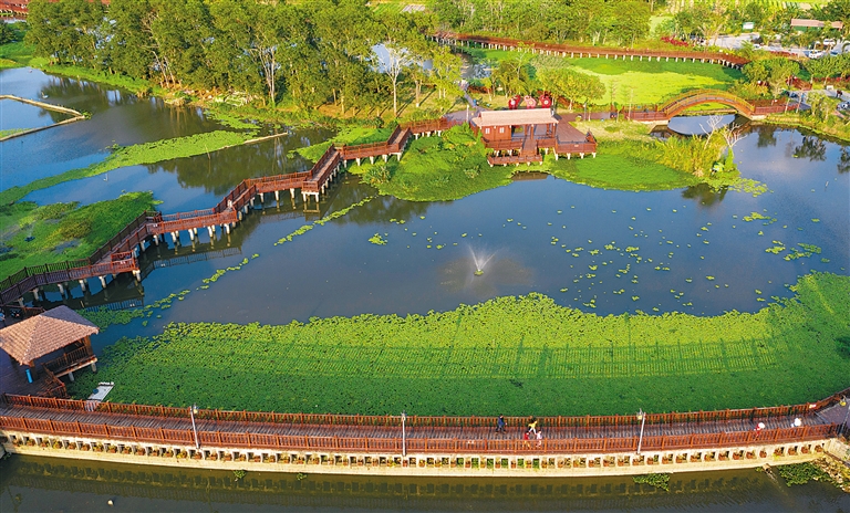 屯昌：生态修复 增绿添景