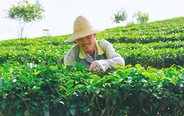 今年，五指山市这样干！