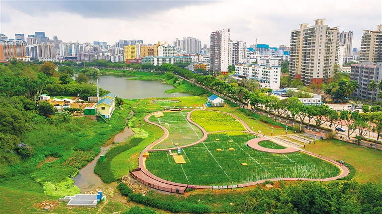 水体环境整治 居民生活提质