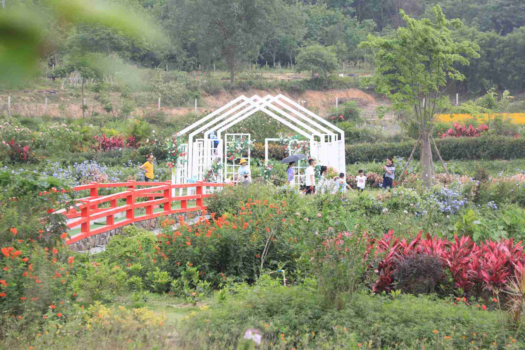 定安清明小长假 红色旅游成热点