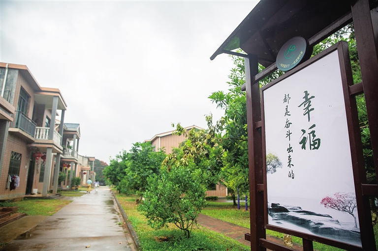 海口塔昌村：穿过硝烟 升起幸福炊烟