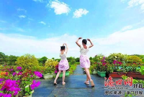 “五一”海口欢乐多