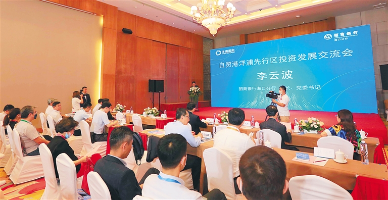 自贸港洋浦先行区投资发展交流会举行