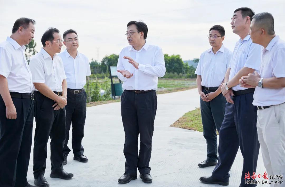 冯飞：加快推进高标准农田建设